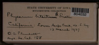 Image Associated With the Occurence